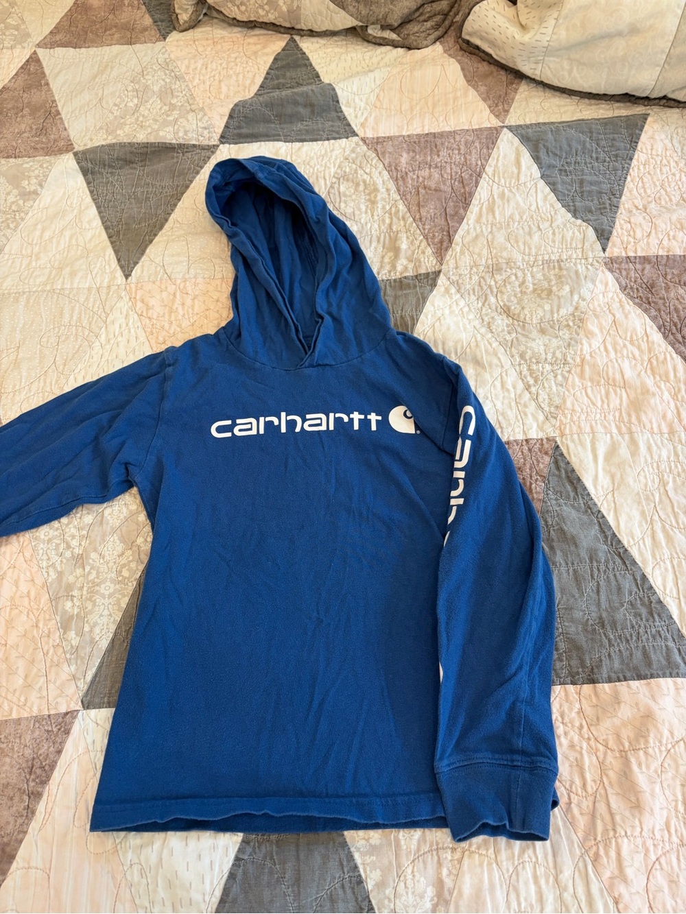Carhartt Boys Blue Logo Hooded Sweater